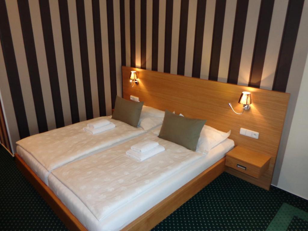 Hotel Vacek Pod Vezi Hradec Králové Cameră foto